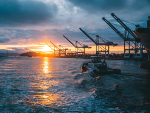 Leia mais sobre o artigo Economia do Mar: o potencial marítimo em discussão