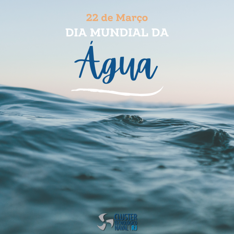 Leia mais sobre o artigo Dia Mundial da Água