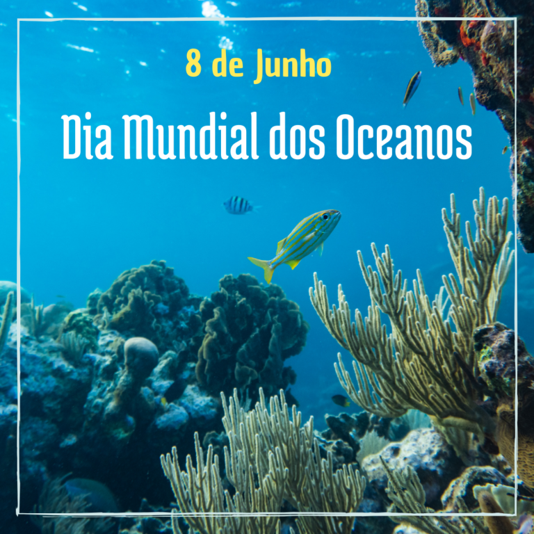 Read more about the article Dia Mundial dos Oceanos